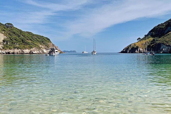 Explore the Hauraki Gulf aboard the 41-foot catamaran Pacific Star